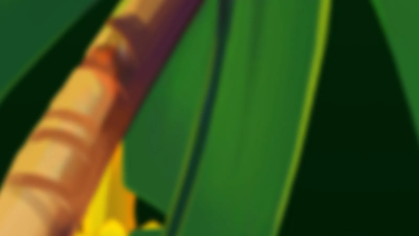 Игровой автомат Monkey Maniac – играть бесплатно и на деньги | BoostWin Казино